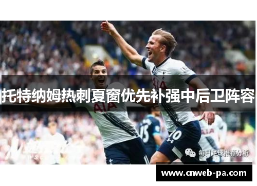 托特纳姆热刺夏窗优先补强中后卫阵容