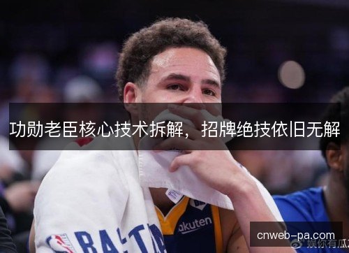 功勋老臣核心技术拆解，招牌绝技依旧无解
