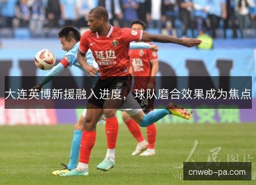 大连英博新援融入进度，球队磨合效果成为焦点